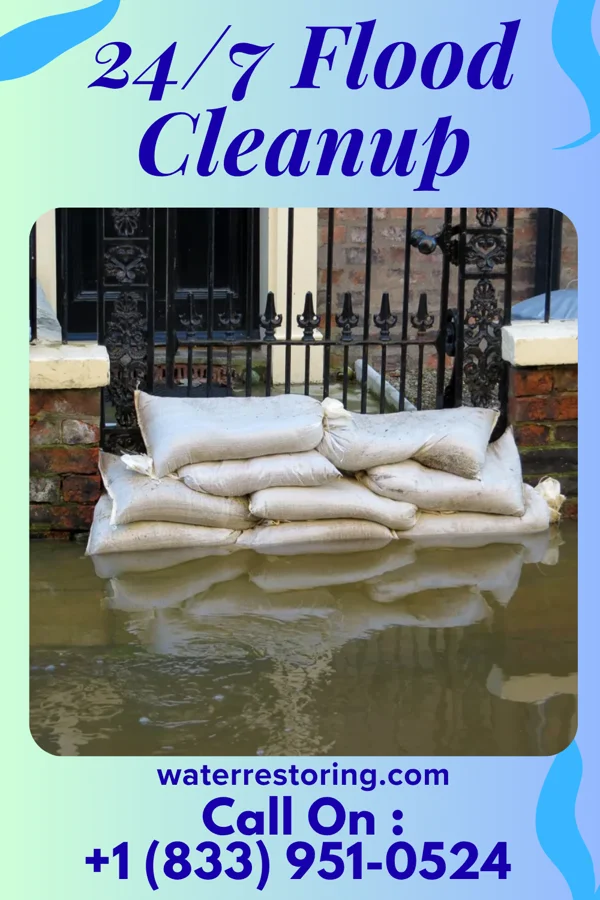 24/7 Flood Cleanup in Punaluu, HI