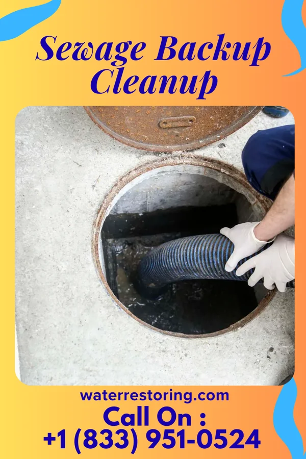 Sewage Backup Cleanup in Punaluu, HI