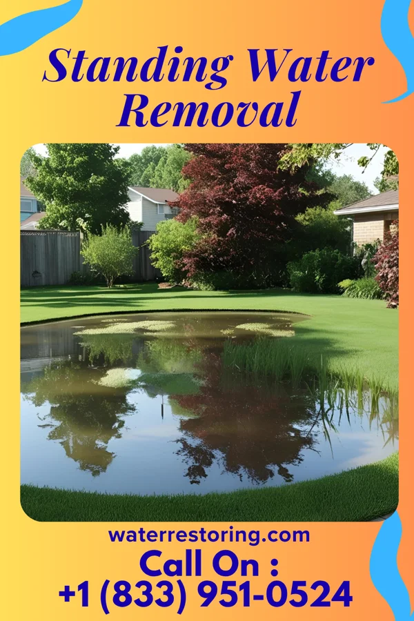 Standing Water Removal in Punaluu, HI